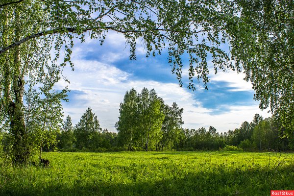 Лесистые Луга Эстония