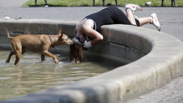 Открытка жарко