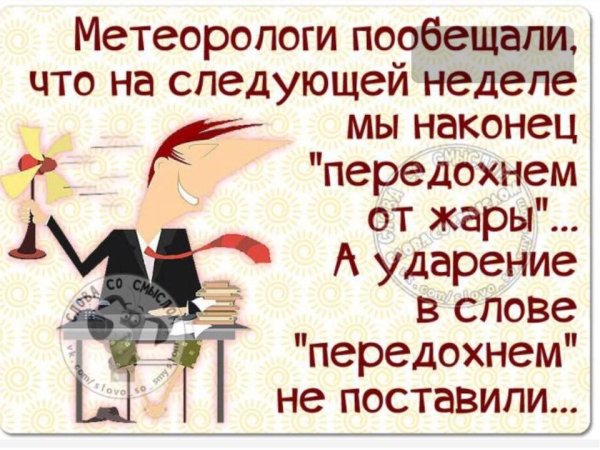 Краснодар жара летом