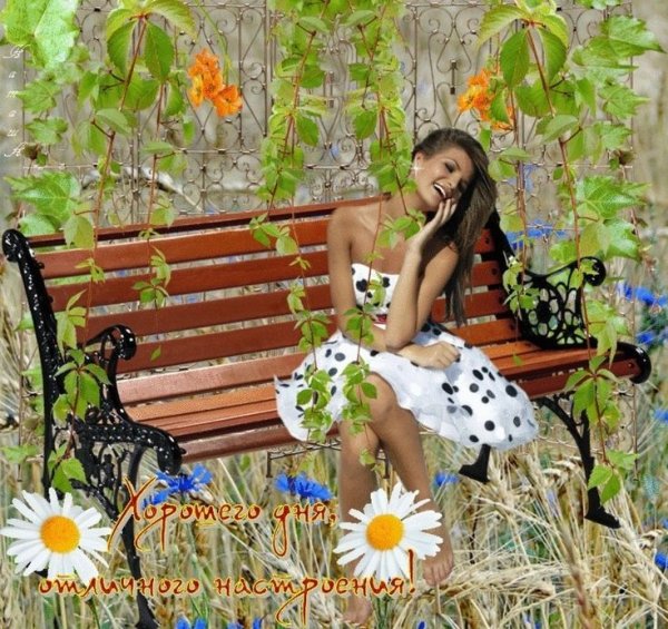 В ожидании лета картинки