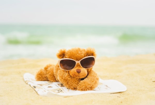 Медвежонок на пляже