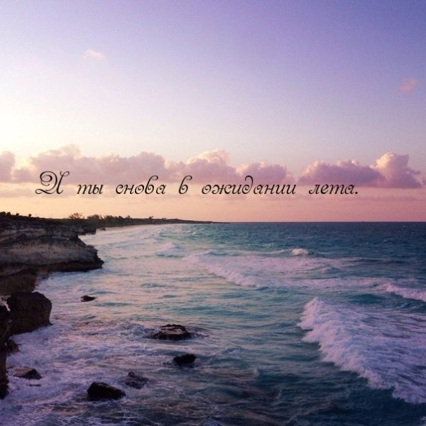 Фразы про ожидание лета