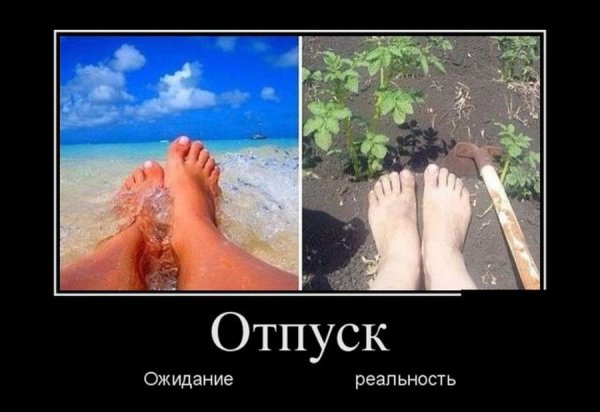 Кошка в купальнике