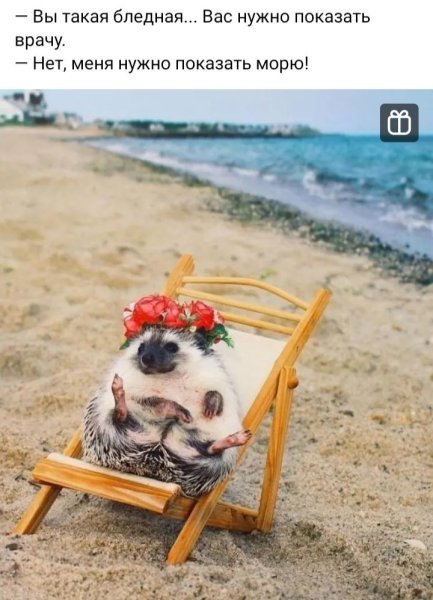 Море ожидание и реальность