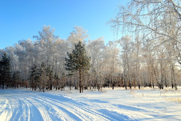 Картинка зима лето