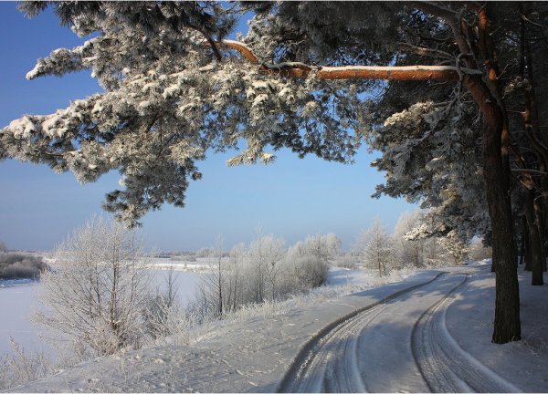 Зимний пейзаж в Разное время суток