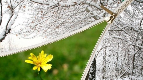 Деревня зимой