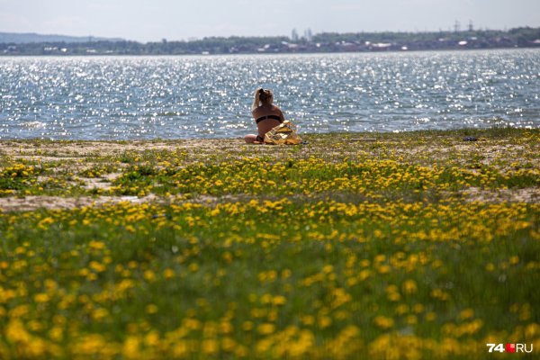 Жара на озере