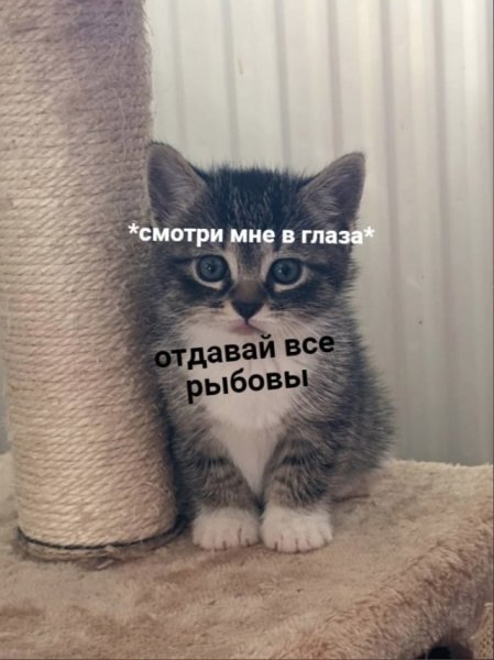 Статусы про лето прикольные