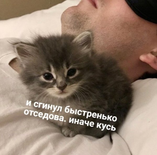 Открытки конец лета прикольные