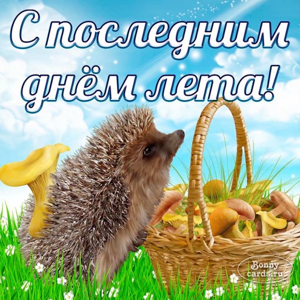 Открытки с последним днем лета