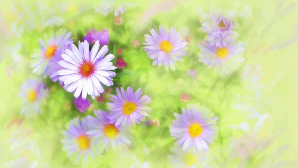 Природа поле