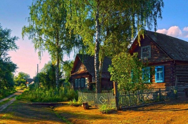 Большая семья в загородном доме