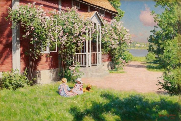 Лето солнце деревня