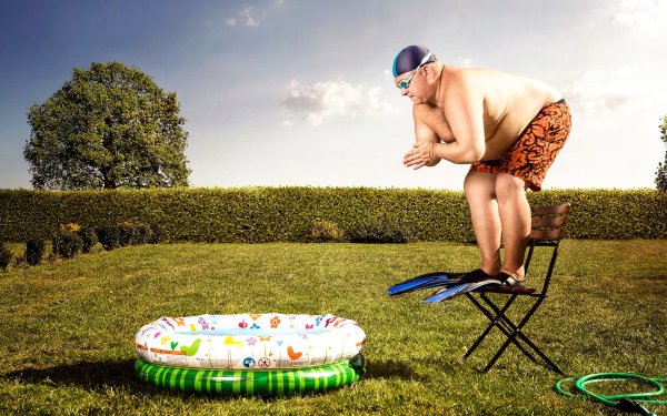 Кошки летом