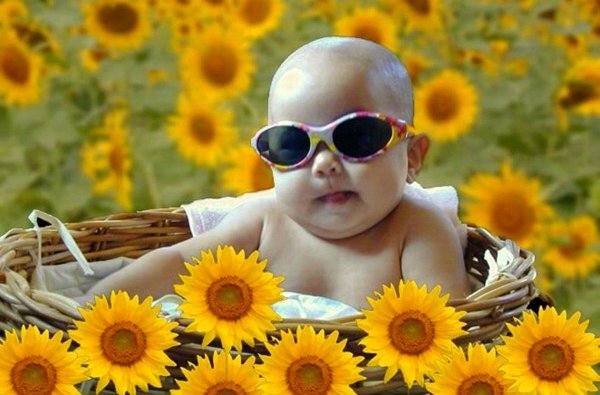 Доброе утро море