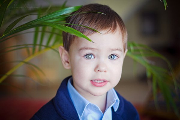 Маленькая девочка на велосипеде