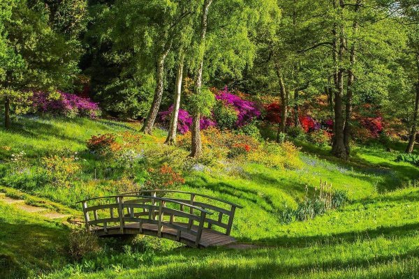 Летний парк