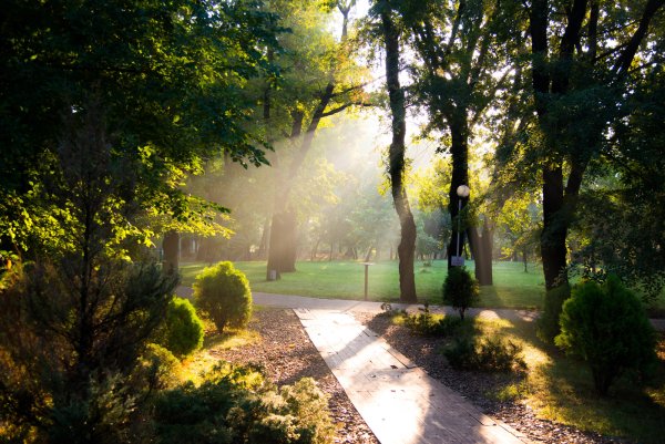 Парк Краснодар летом