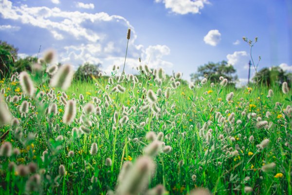 Жаркое лето