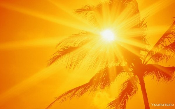 Анимированное солнце оранжевое