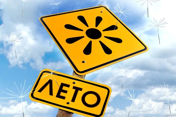 Лето трава солнце