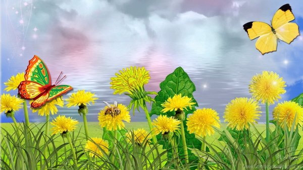 Картинки на рабочий стол лето