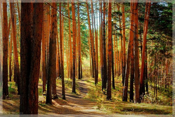 Озеро Селигер