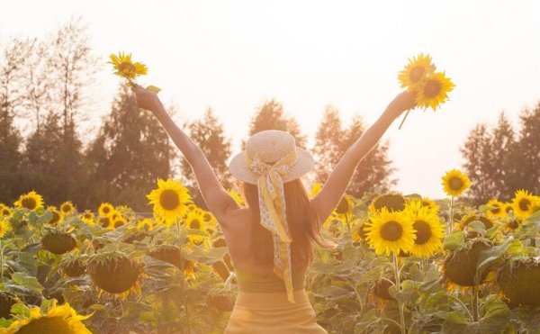 Жаркий зной