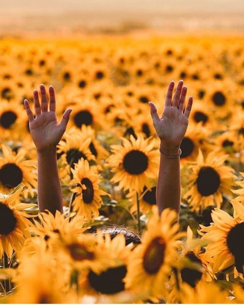 Зонтик разноцветный для детей