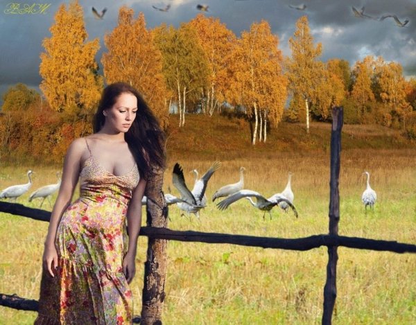 Бабье лето идет