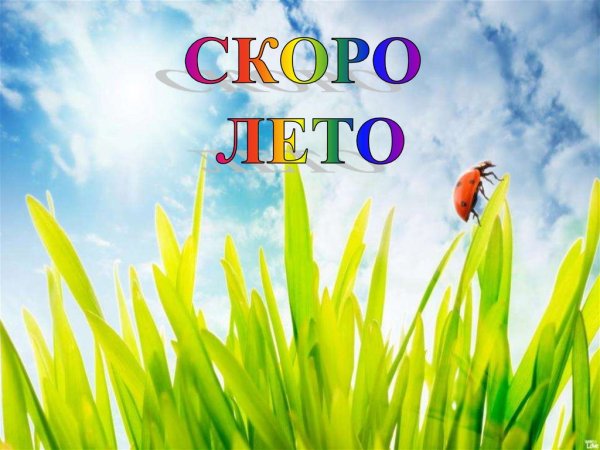 С послетним днемвесны завтра лето