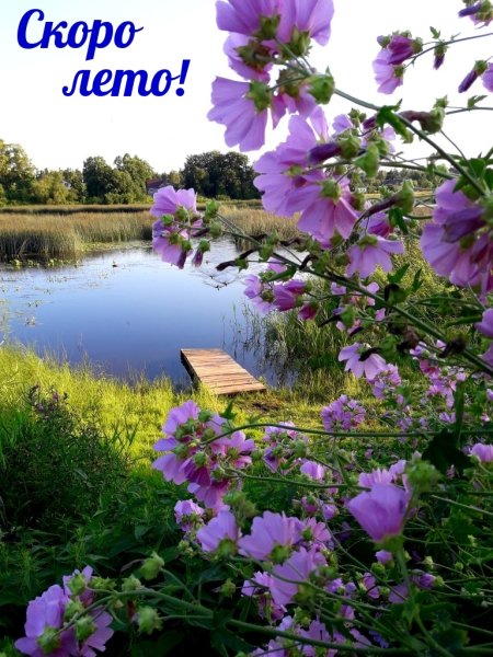 Лето снег
