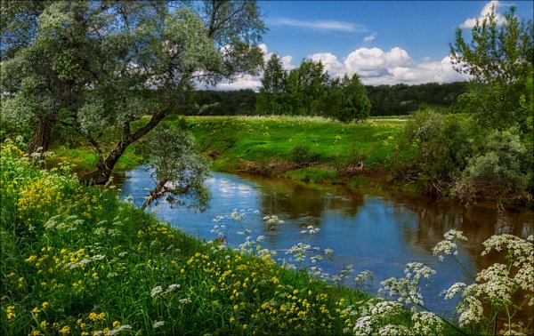 Июнь природа