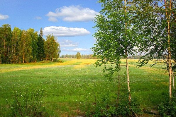 Алаас Якутск