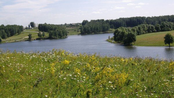 Фото деревни летом