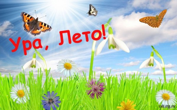 Картина ура лето!!!