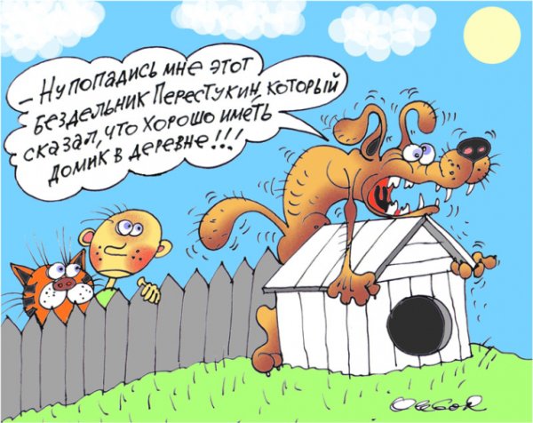 Про деревню цитаты смешные