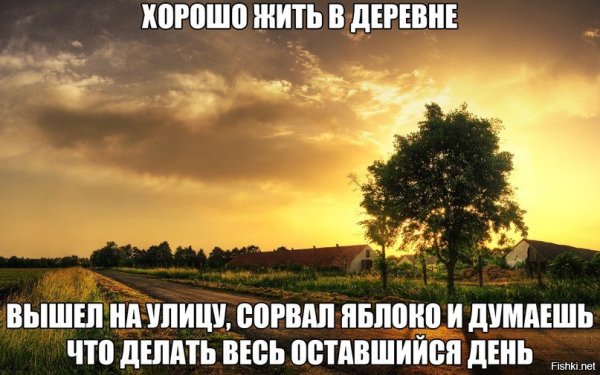 Отдыхаем в деревне!