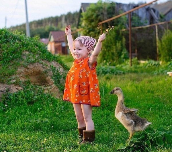 Афоризмы про дачу