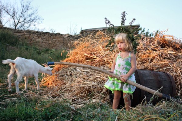 Летом в деревне у бабушки