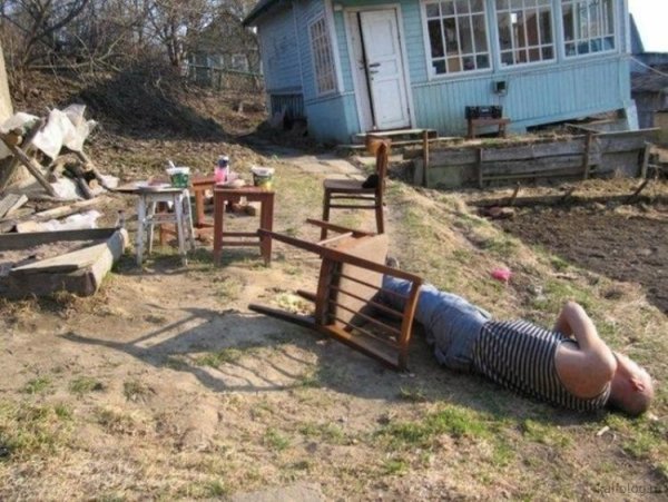 Приколы про огород и картошку