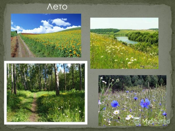 Мотиватор лето