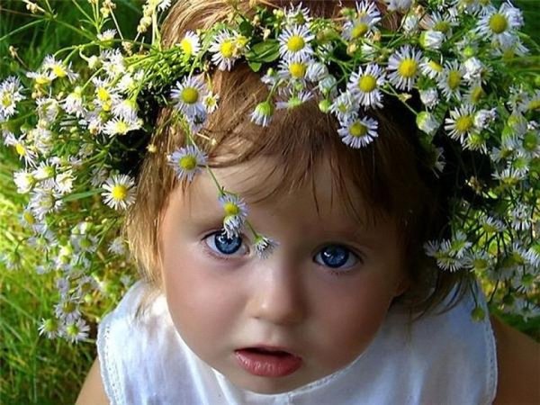 Летние цветы