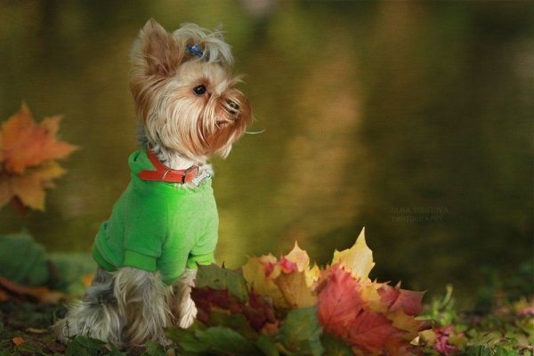 Мемы про отпуск и работу