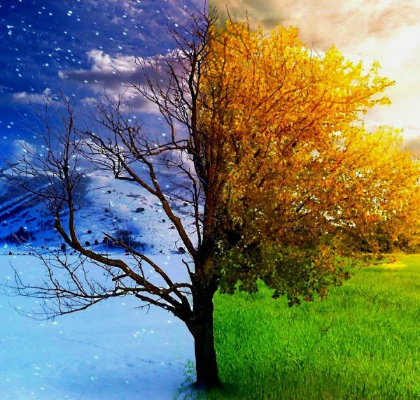 Пейзаж в Разное время года