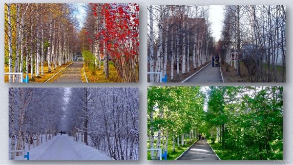 Пейзаж времена года