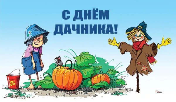 День дачника