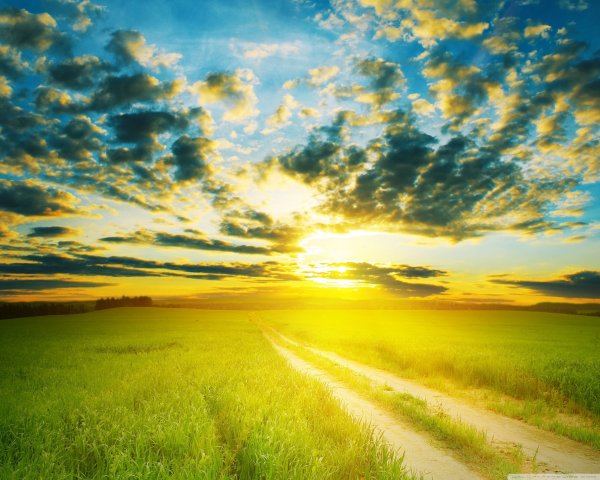 Природа солнце