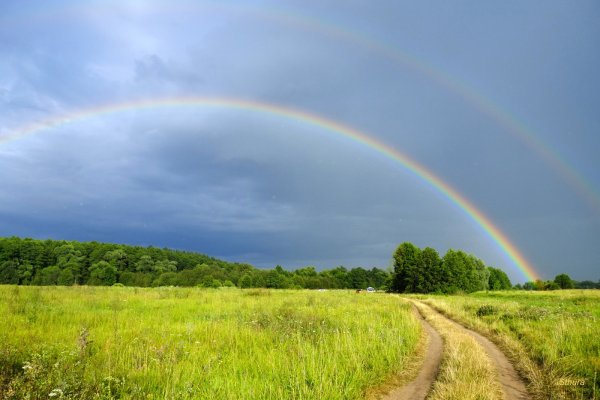 Природа лето Радуга